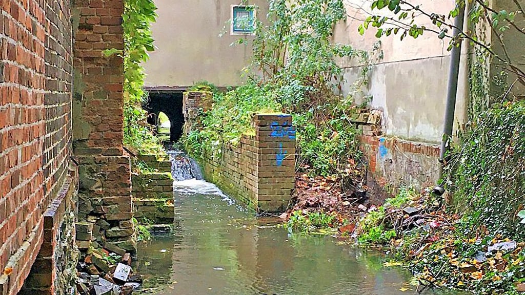 Blick in den Mühlengraben der Ehle.