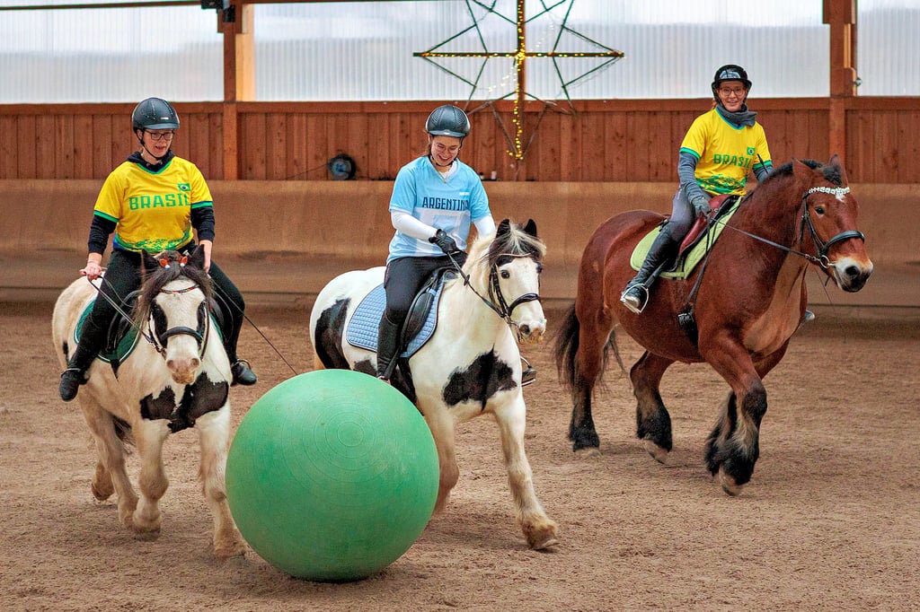 Bei der Weihnachtsshow konnten die Zuschauer Ball spielende Pferde beobachten.