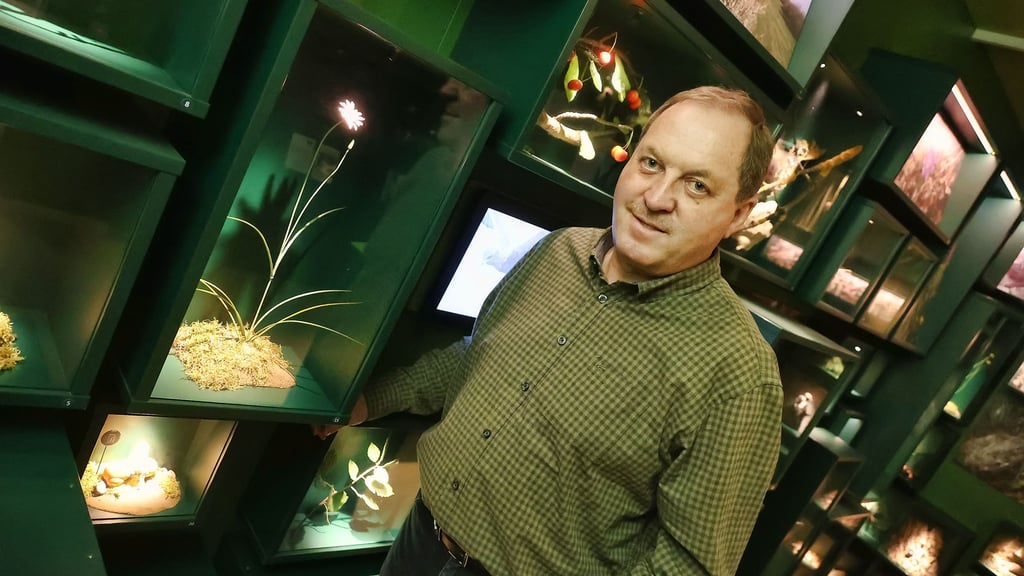 Armin Hoch am Schaukasten der Violetten Schwarzwurzel in der Ausstellung des Biosphärenreservats.