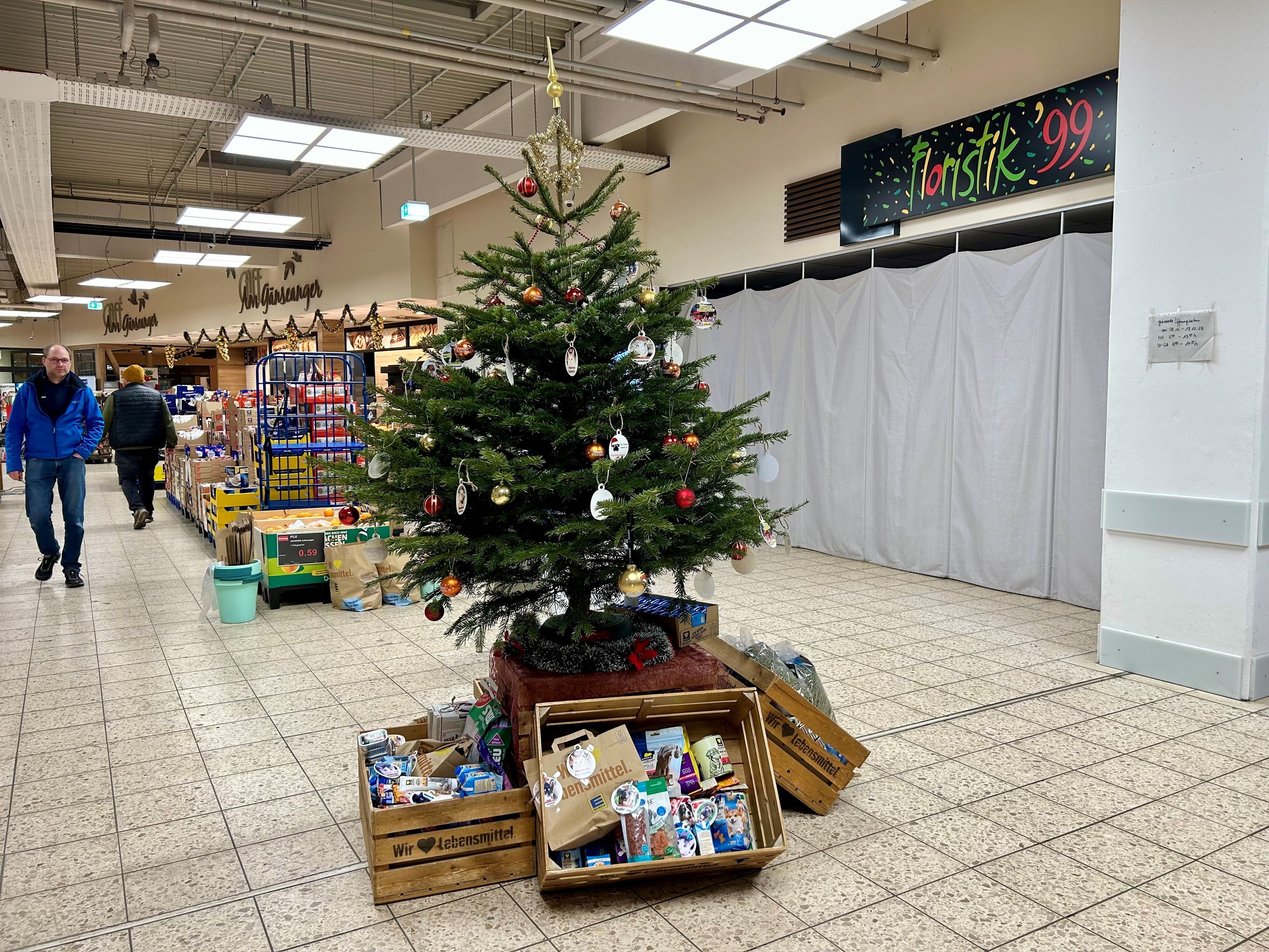 Wunschbaum für Tiere: Kugeln mit Bild und Wunsch: Was ein Tannenbaum mit dem Tierheim zu tun hat