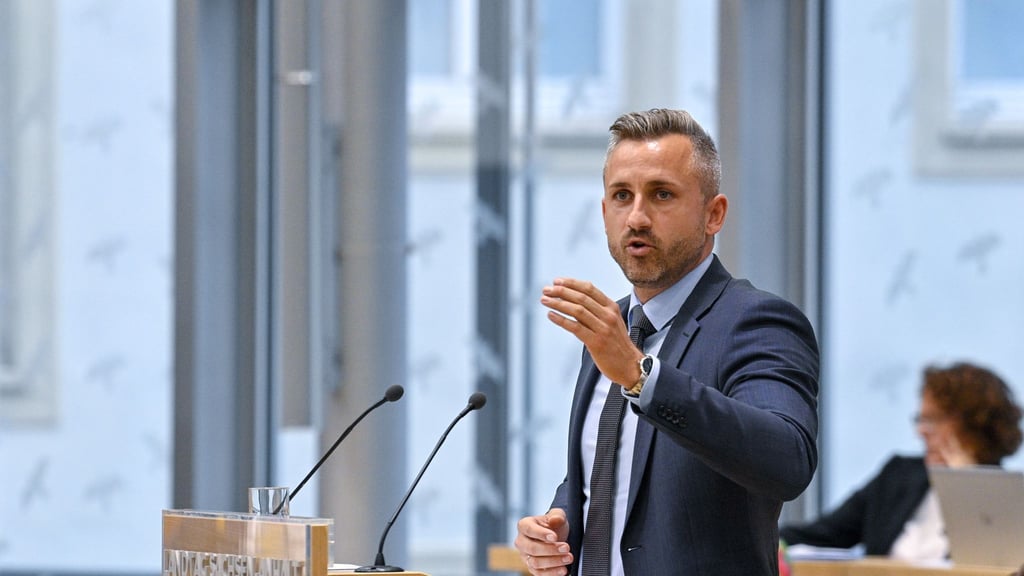 Co-Fraktionschef Siegmund wies Kritik an der AfD wegen der USA-Reise zurück. (Archivbild)