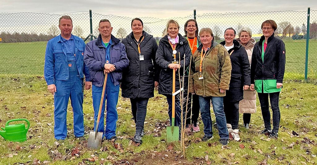 Baumpflanz-Challenge bei Globus Theißen: Eine Eiche wurde gepflanzt. 