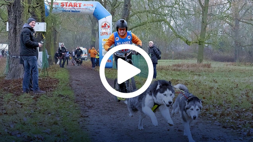 Bodo Gottschling startete mit seinen Huskys Zeus und Jojo.