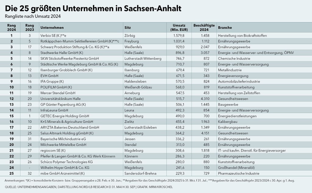Das sind die 25 umsatzstärksten Unternehmen in Sachsen-Anhalt, die ihre Geschäftszahlen veröffentlichen.
