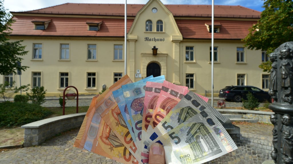 Unter anderem um die Hundesteuer geht es bei der nächsten Stadtratssitzung in Nienburg. 