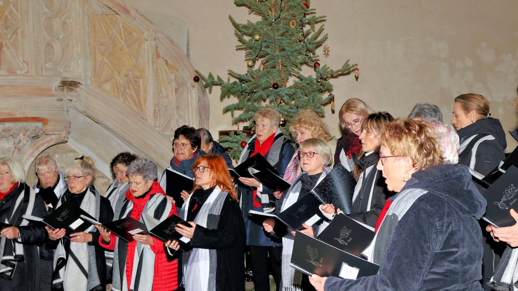 Der Frauenchor hatte zahlreiche Lieder zum Adventskonzert einstudiert und trug sie in der Stephanikirche vor. 