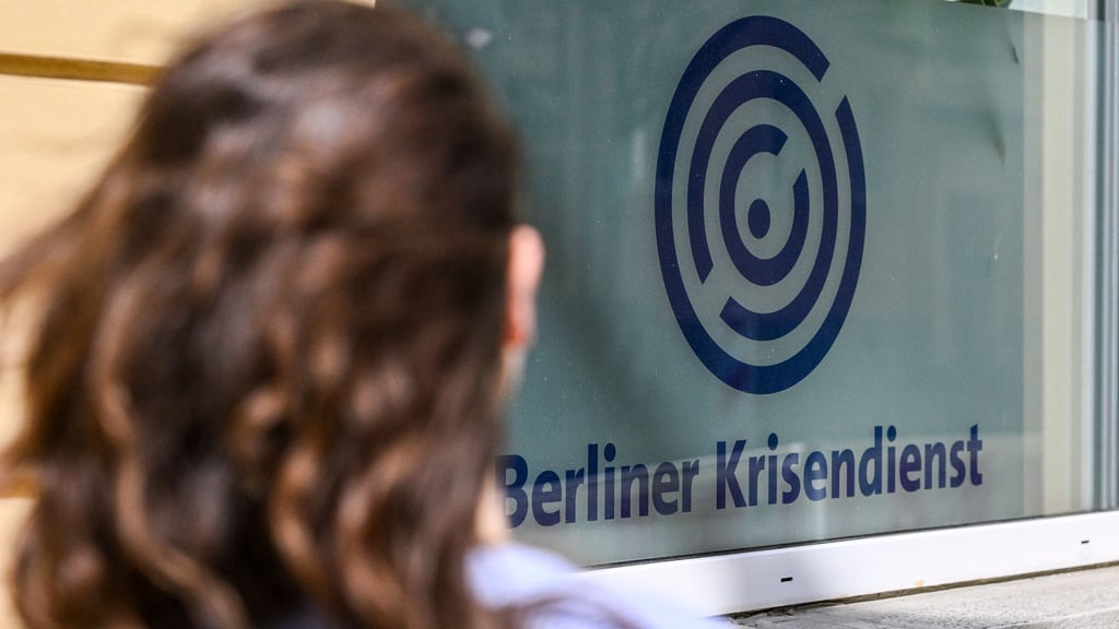 Ziel ist es, Polizisten während schwieriger Einsätze noch enger mit der psychosozialen Krisenhilfe zu verknüpfen. (Symbolbild)