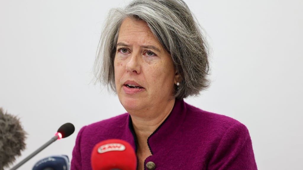 Der 21-Jährige sei im Juni 2024 mit einem Visum für einen Au-pair-Aufenthalt eingereist, sagte Sachsen-Anhalts Innenministerin Tamara Zieschang (CDU).