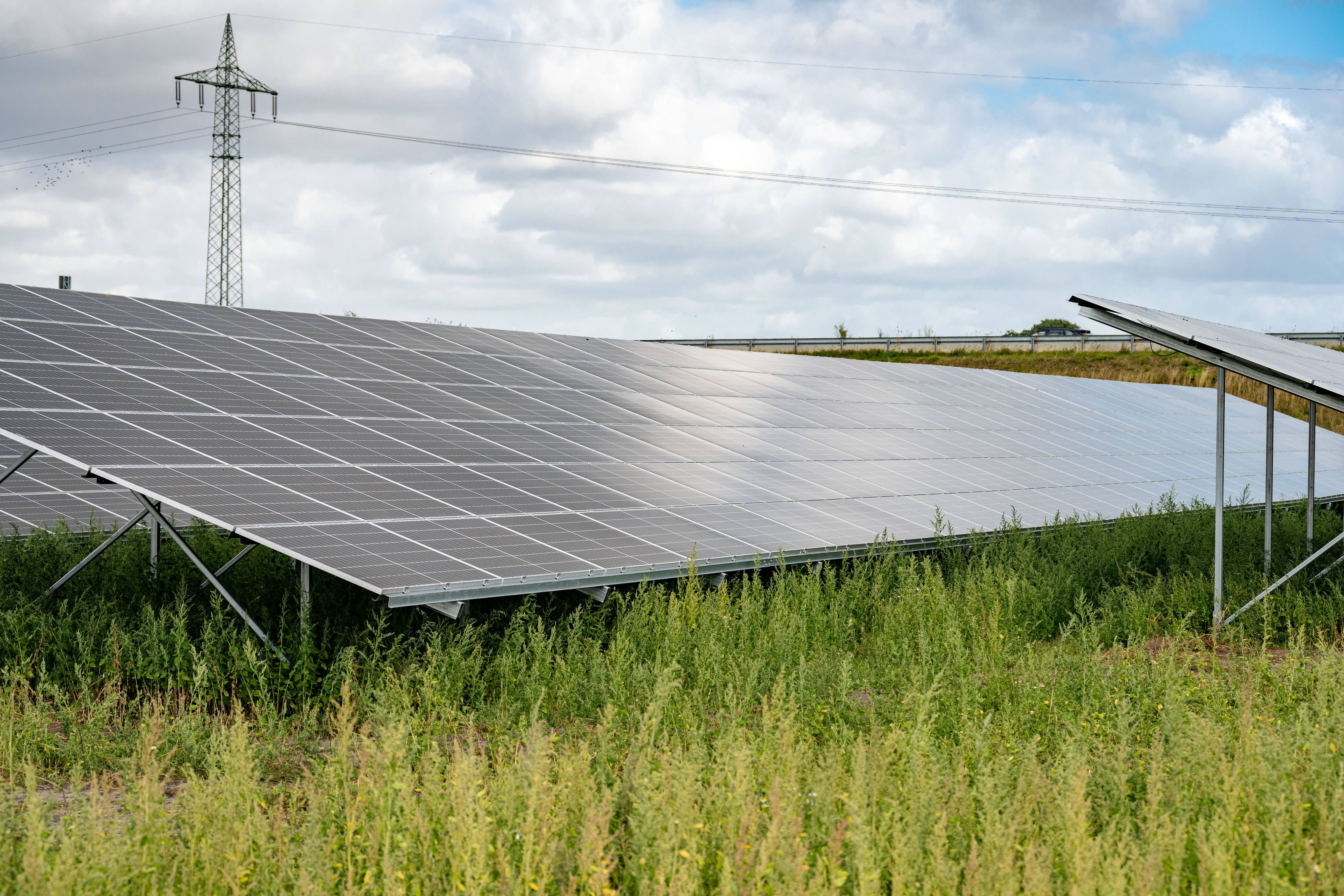 Erneuerbare Energien im Harz: Agri-Photovoltaik auf Acker in Rohrsheim: Nun ist Stadtrat Osterwieck gefragt (mit Karte)