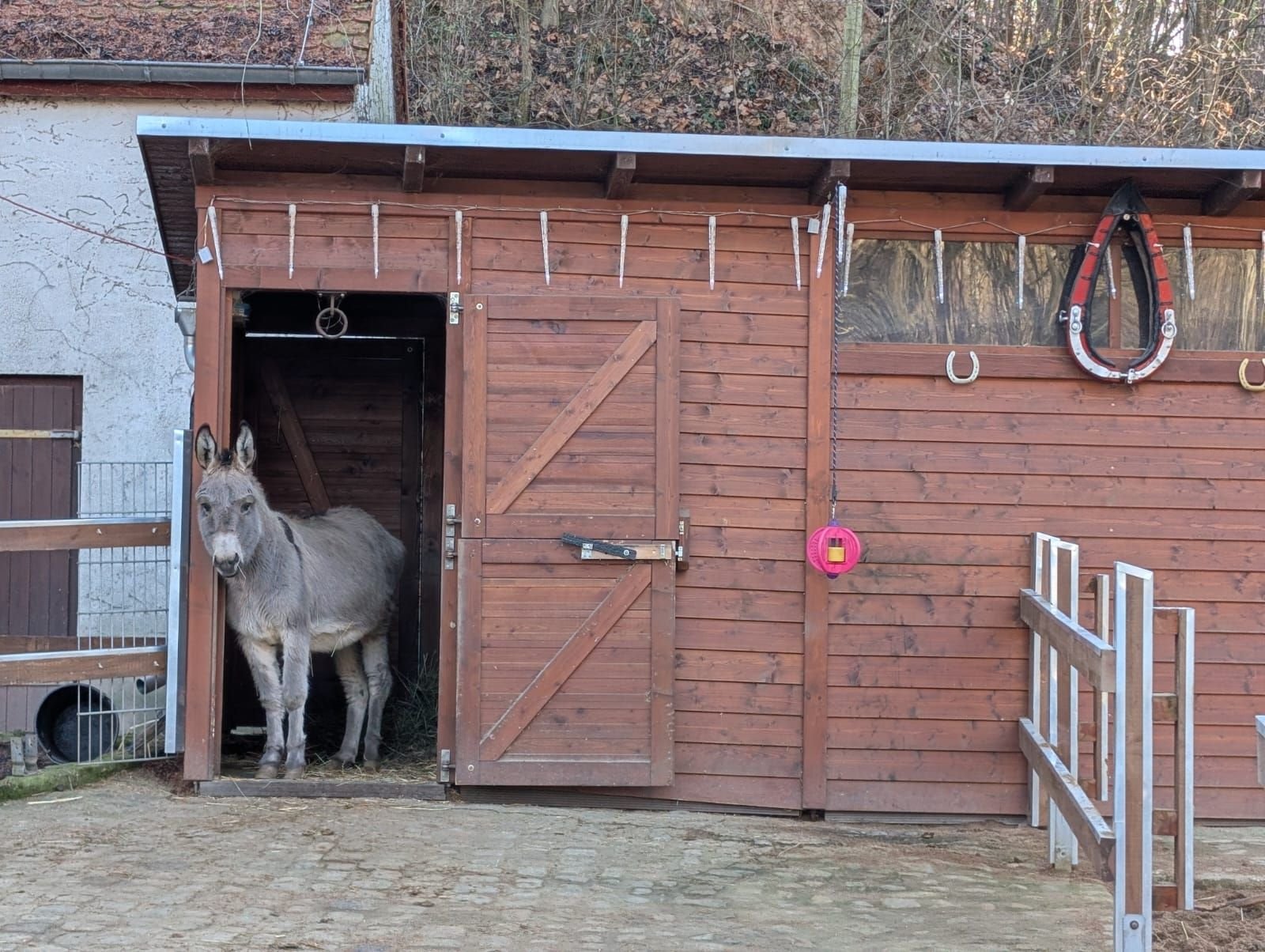 Silvester in Weißenfels: Heimatnaturgarten appelliert an Bürger: Böller verschrecken Tiere
