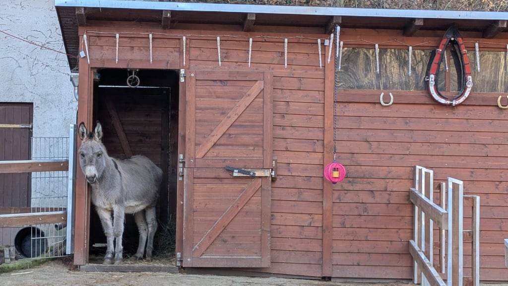In Hütten und Unterständen können die Tiere im Heimatnaturgarten in der Silvesternacht Schutz finden.