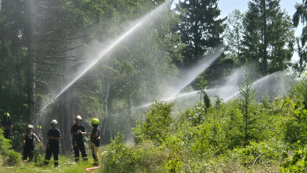 Bei echten Wald- und Vegetationsbrängen - hier nur das Bild eriner Übung der Feuerwehren Oberharz, Thale und  Harzgerode - mussten die Harzgeröder Einsatzkräfte bisher ihre dicke Schutzausrüstung tragen. Das soll sich nun ändern. 