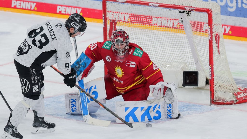 Wolfsburgs Spencer Machacek verlängert seinen Vertrag. (Archiv)