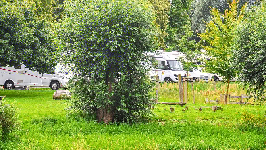 Naturnah und doch mitten im Städtchen: Der Caravan-Stellplatz Seehausen (Altmark) ist beliebt. Das lässt ich auch an den steigenden Benutzerzahlen ablesen.