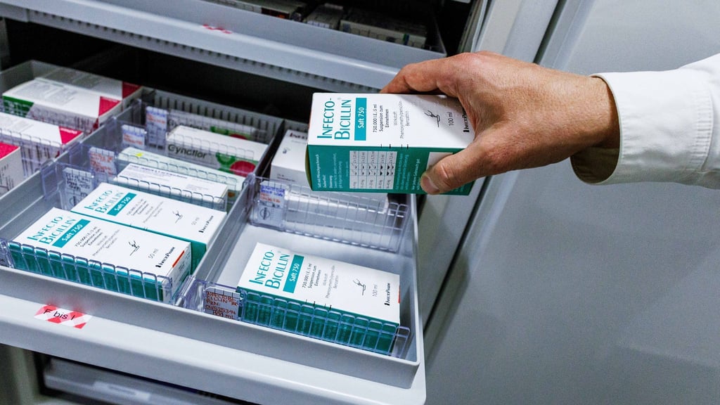 Viele Antibiotika basieren auf Penicillinen. (Illustration)