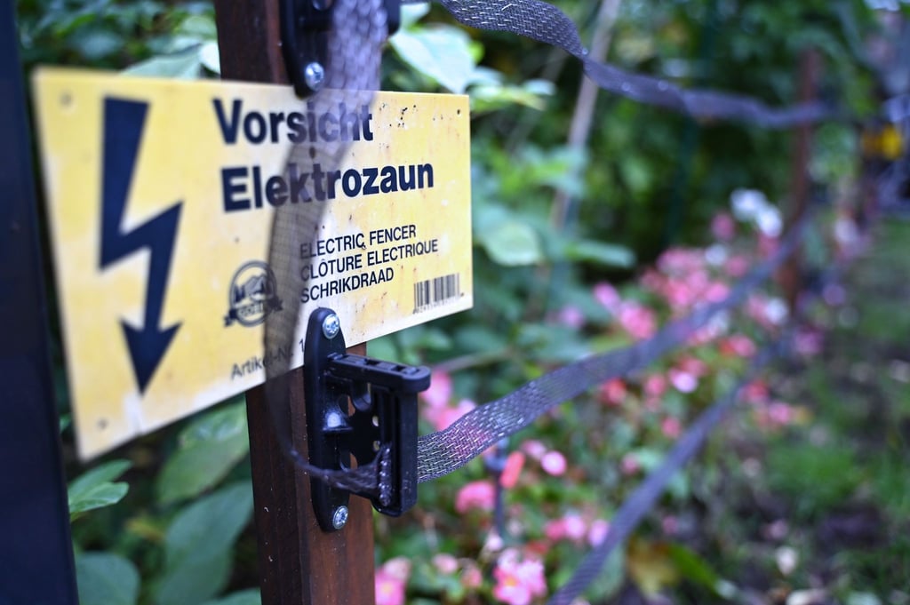 Wildschweine durchwühlen in Kleinmachnow Vorgärten und hinterlassen Schäden. Zum Schutz haben Anwohner Zäune aufgebaut. (Archivbild)