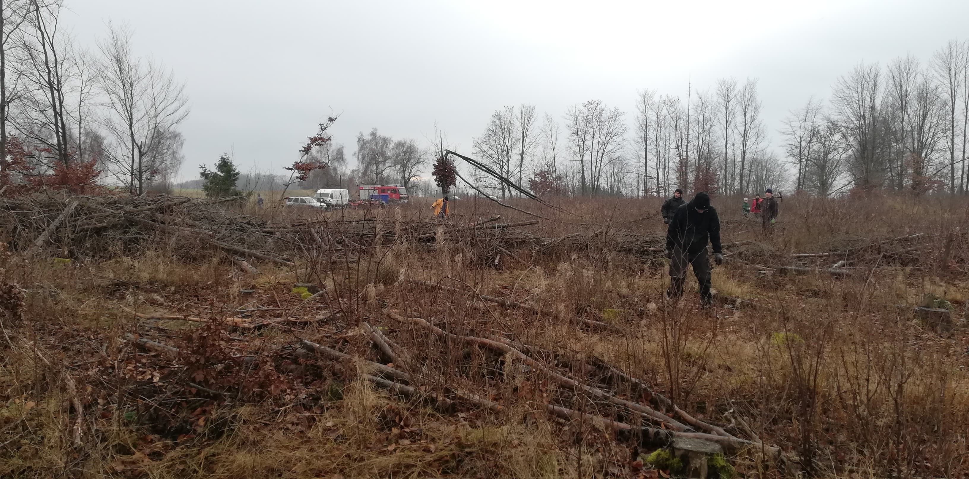 Pflanzaktion bei Breitenstein: Vermächtnis erfüllt: Breitensteiner pflanzen über 1.000 junge Lärchen