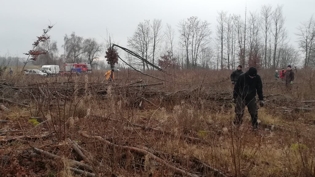 Fast zwei Dutzend Helfer haben Lärchen am Kleinen Halbstein bei Breitenstein gepflanzt.