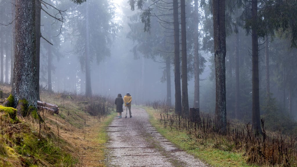 In der dritten Dezemberwoche gibt es in Sachsen-Anhalt überwiegend graues Winterwetter.