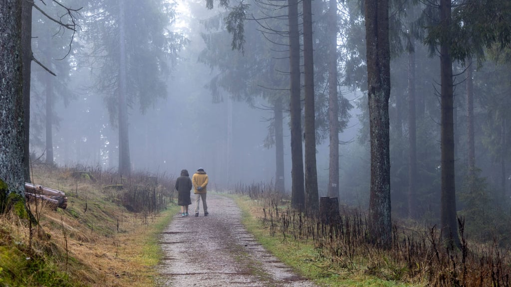 In der dritten Dezemberwoche gibt es in Sachsen-Anhalt überwiegend graues Winterwetter.