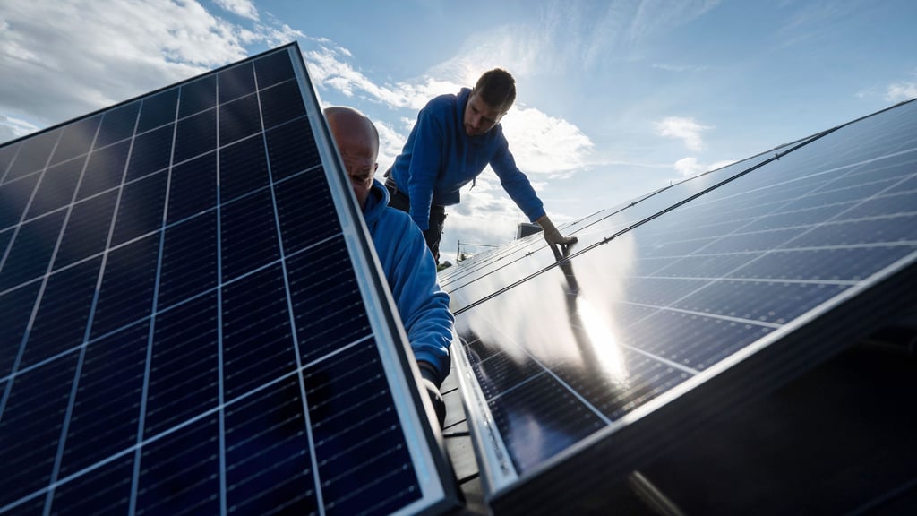 Könnte der Ascherslebener Zoo durch die Montage von Photovoltaikanlagen energieeffizienter betrieben werden?