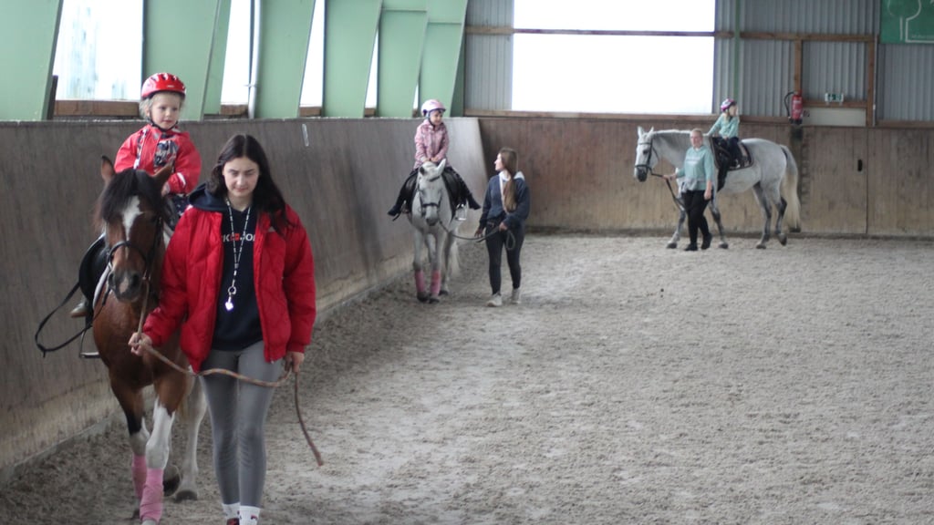 Die Reithalle der SG Motor Barleben ist fast 20 Jahre alt und soll deshalb auf Vordermann gebracht werden. Die Pferdesprtler hoffen auf Förderung durch die Gemeinde.