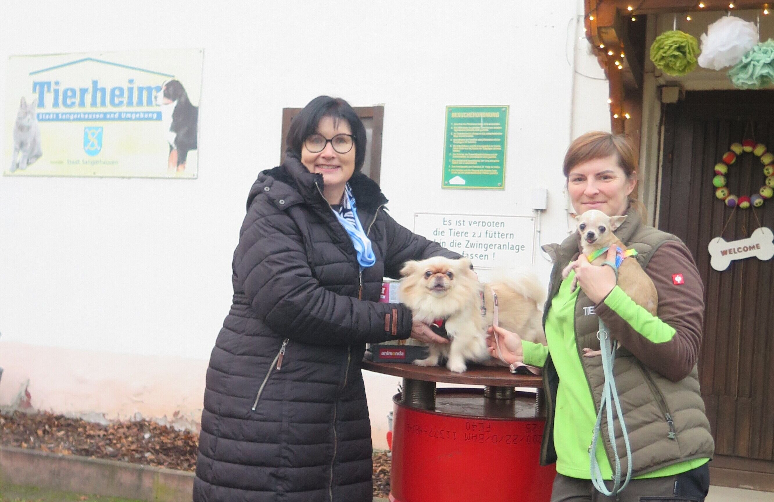 WGS zeigt Herz für Tiere: Aus Spenden vom Weihnachtsmarkt: Wohnungsbaugenossenschaft Sangerhausen hilft Tierheim