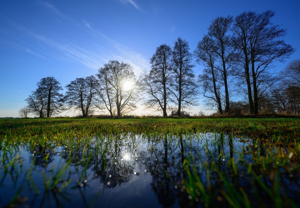In Brandenburg und Berlin zeigt sich heute und morgen die Sonne. (Archivbild)