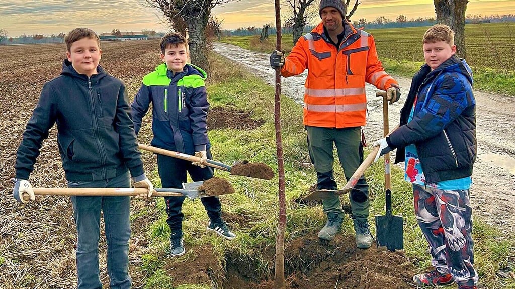 Hans-Georg Werther pflanzt mit Odin, Darius und Nils  von der Bauhof-AG der Sekundarschule Mücheln auf dem Feldweg zwischen Oechlitz und St. Micheln einen Kirschbaum. 