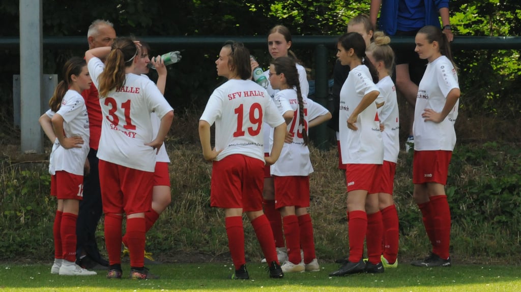 Der KFV Fußball Salzland arbeitet als Kreisauswahl mit dem Stadtverband Halle zusammen.