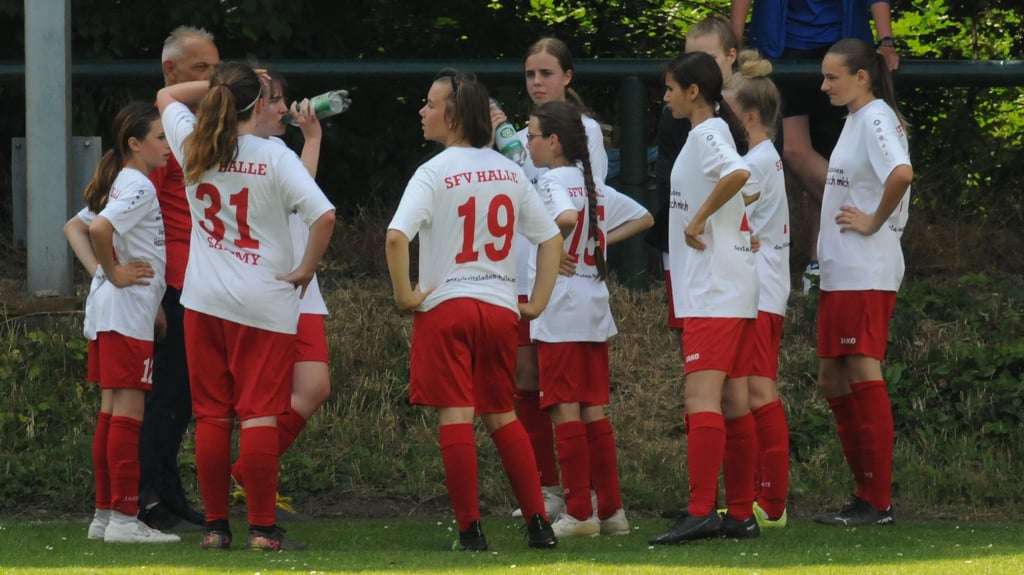 Der KFV Fußball Salzland arbeitet als Kreisauswahl mit dem Stadtverband Halle zusammen.