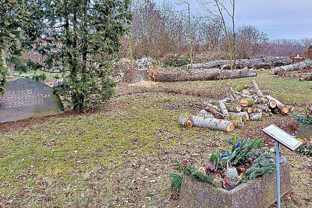 Familie Wernicke fotografierte am 14. Dezember 2025 den Zustand des Döschwitzer Friedhofs. Jetzt sind die Baumstämme weggeräumt worden.