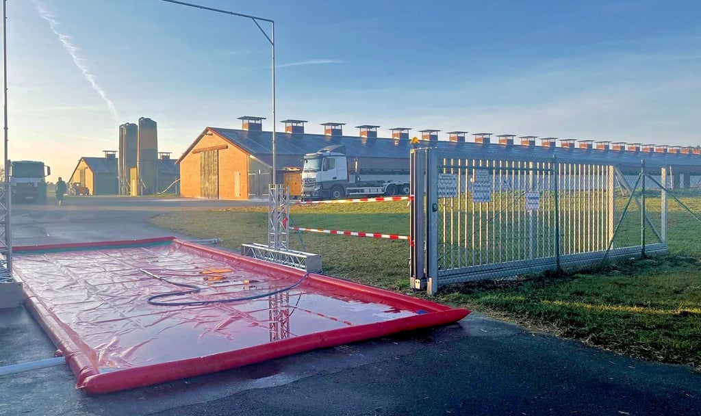 Nur über Seuchenschutzmatten geht es auf die Anlage: In Roxförde soll die weitere Ausbreitung der Geflügelpest verhindert werden. 