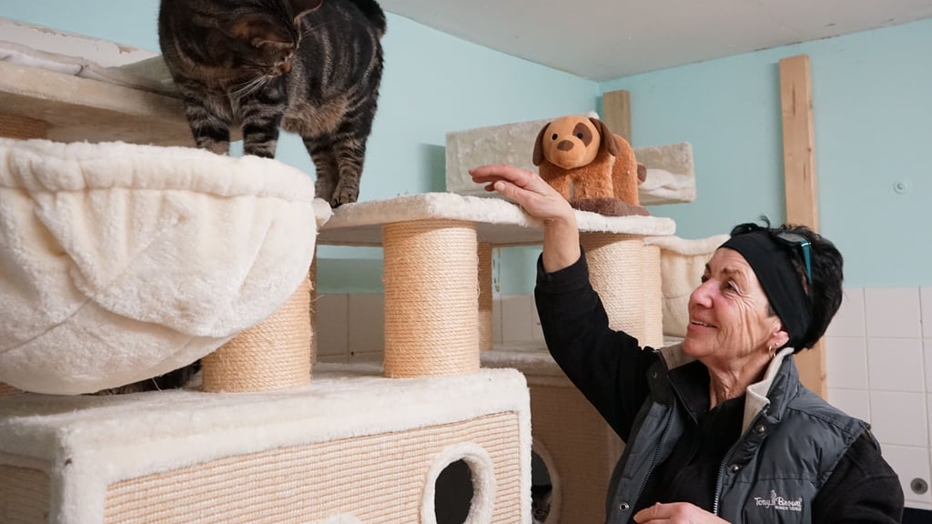 Mathilde Herbrecht arbeitet jeden Tag ehrenamtlich im Tierheim.