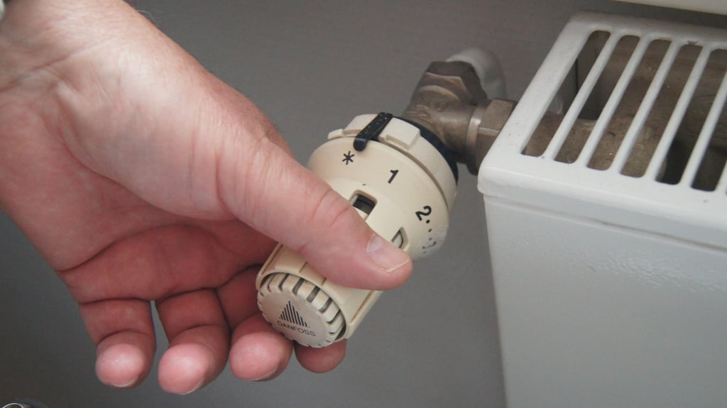 Wie heizt Wolmirstedt in der Zukunft?