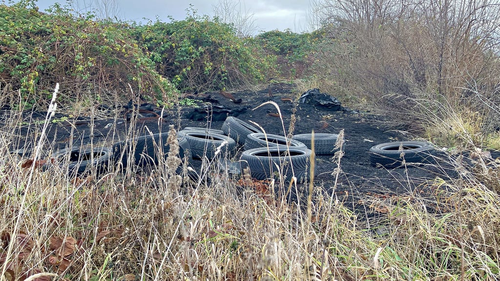 Dieses Bild bietet sich an der Borauer Deponie, wo weiterhin zahlreiche Altreifen und deren verkohlte Überreste liegen.