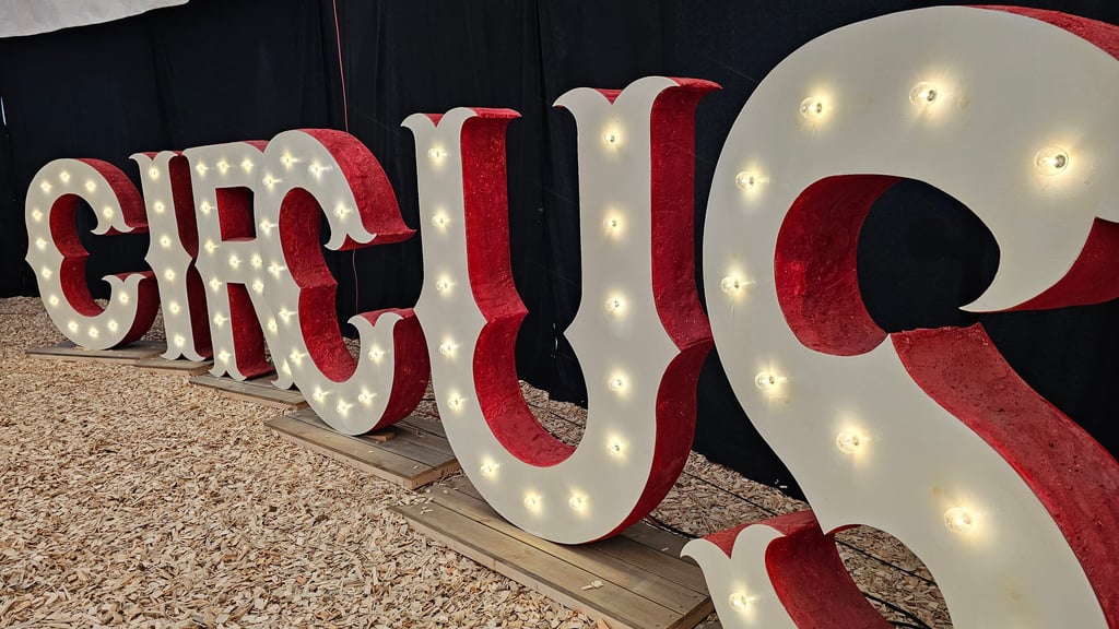 Bei der Premiere im Weihnachtscircus hatte es ein Unglück gegeben. Was jetzt bekannt ist. 