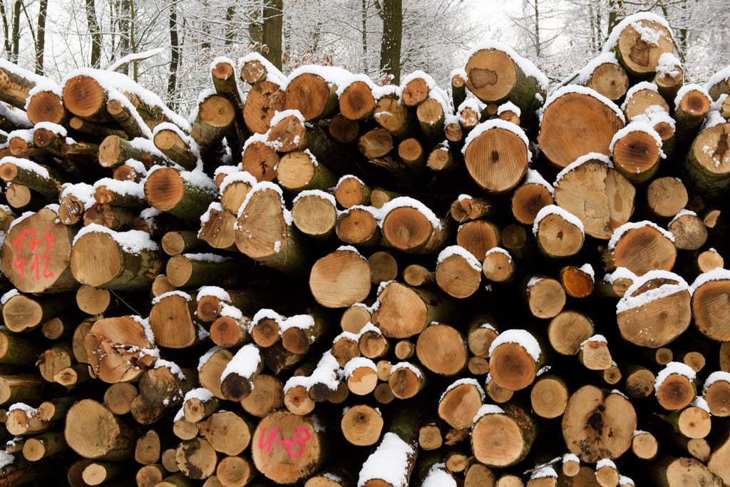Streit um Vermarktung von Holz geht weiter (Symbolbild)