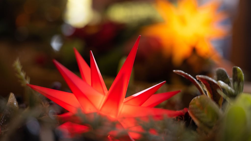 Weihnachtlich geht es am kommenden Wochenende auf dem Martelsberg in Dankerode beim Adventszauber zu. 