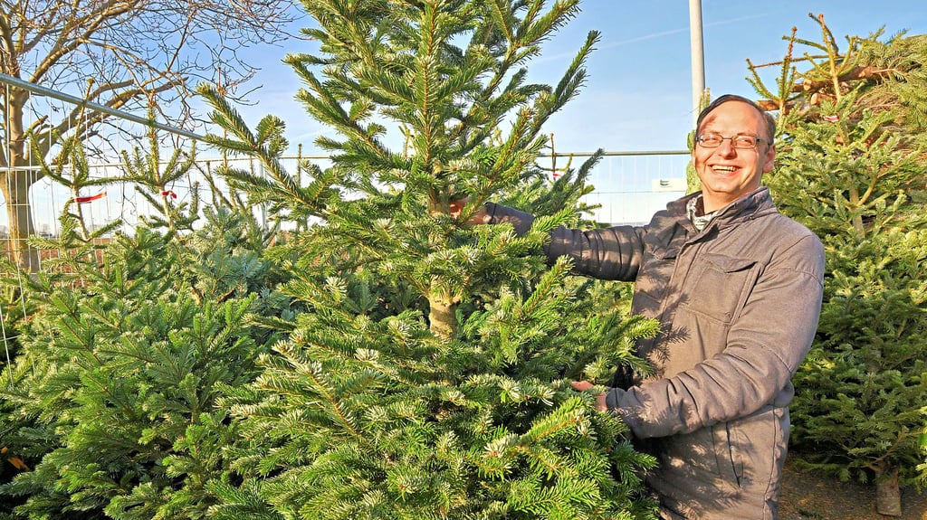 Beim Weihnachtsbaumverkauf von Chris Löscher sind noch etliche Nordmanntannen erhältlich.