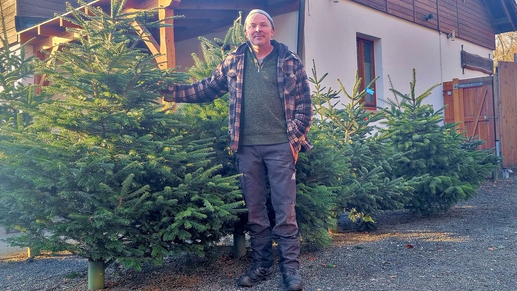 Udo Winkelmann  und seine Frau Petra verkaufen Weihnachtsbäume im Forstbetrieb Ochsenkopf.