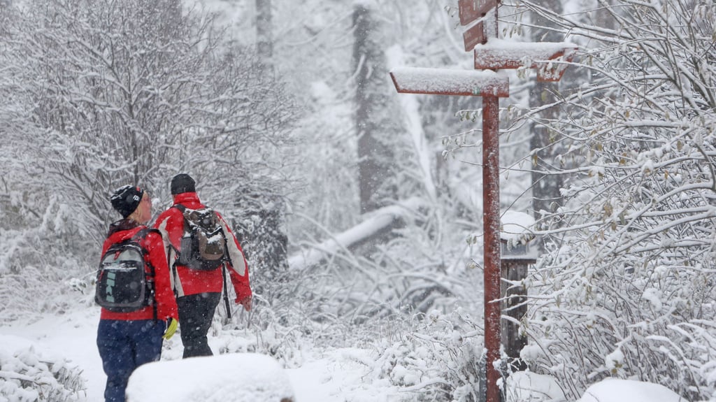 Eine Winterlandschaft wie hier auf dem Pfad zum Brocken gibt es in Sachsen-Anhalt immer seltener. In diesem Jahr könnte es aber klappen mit der weißen Weihnacht.