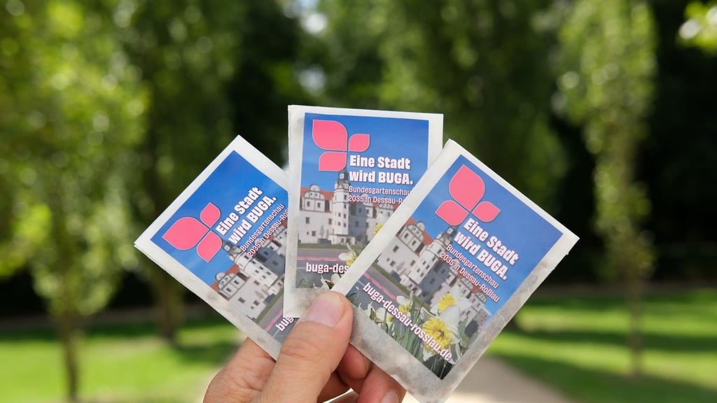 2035 soll in Dessau-Roßlau die Bundesgartenschau veranstaltet werden. (Archivbild)