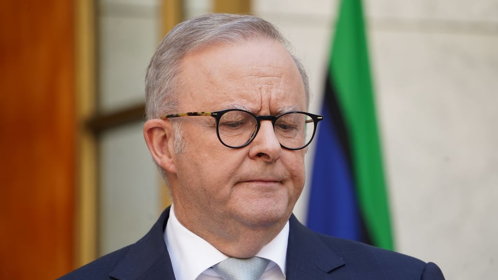 Australiens Premier Albanese will die Zahl der Waffen im Land reduzieren.