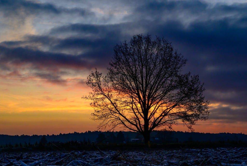 Die Temperaturen erreichen den Tag über laut DWD bis zu elf Grad. (Symbolbild)
