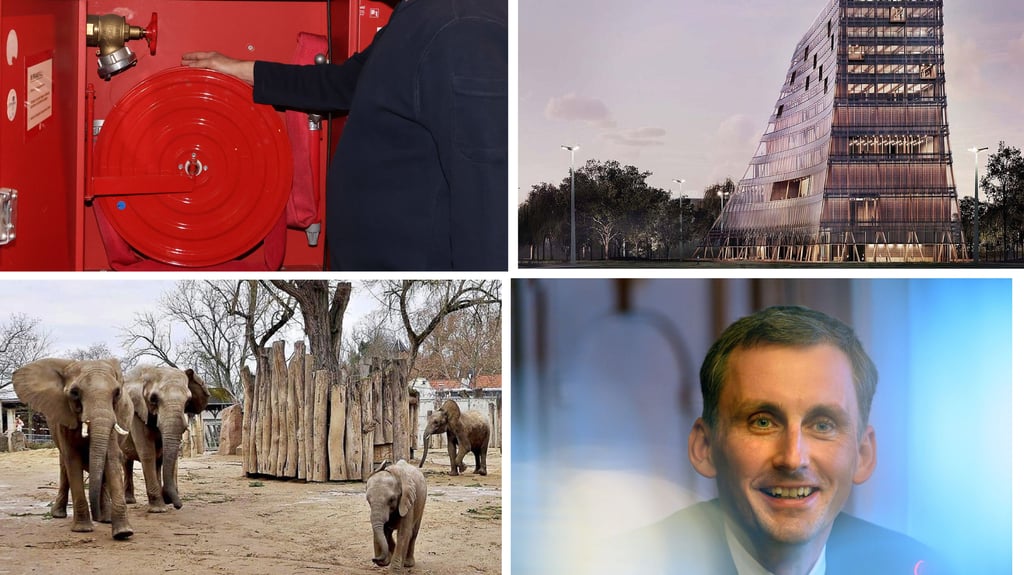 Das Jahr 2025 lieferte in Halle viele besondere Ereignisse.