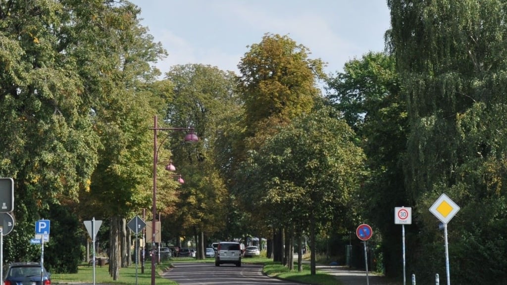 Die Stadt Genthin hat Bäume in der Innenstadt digital erfasst.
