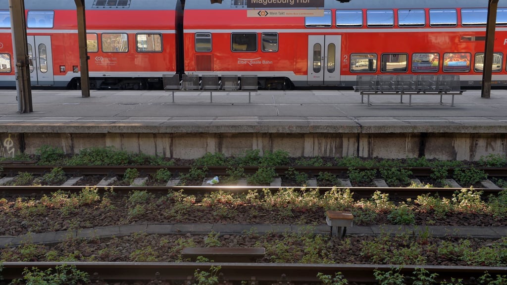 Auf der einen Seite eine Rekordnachfrage - auf der anderen Seite sieht Infrastrukturministerin Hüskens (FDP) Qualitätsmängel. (Symbolbild)