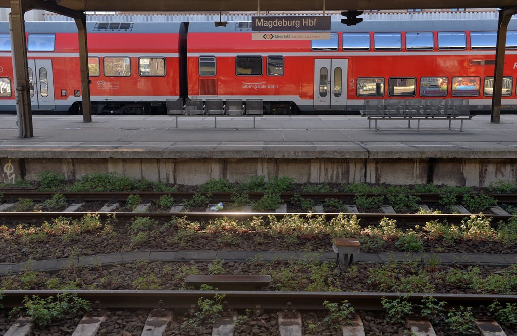 Auf der einen Seite eine Rekordnachfrage - auf der anderen Seite sieht Infrastrukturministerin Hüskens (FDP) Qualitätsmängel. (Symbolbild)