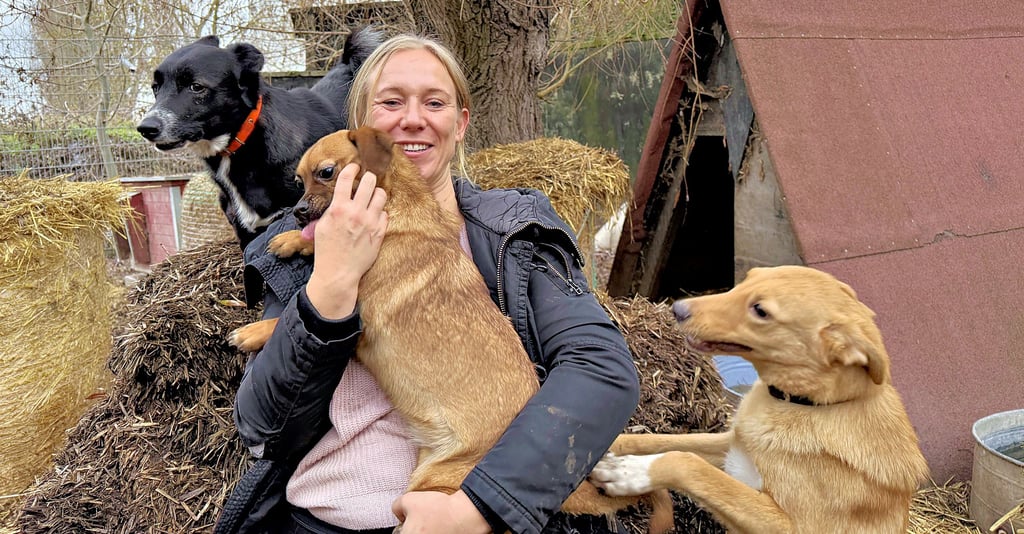 Julia Löser ist seit sie denken kann im Tierschutz tätig und kümmert sich täglich um Hunde, die keine Familie haben.